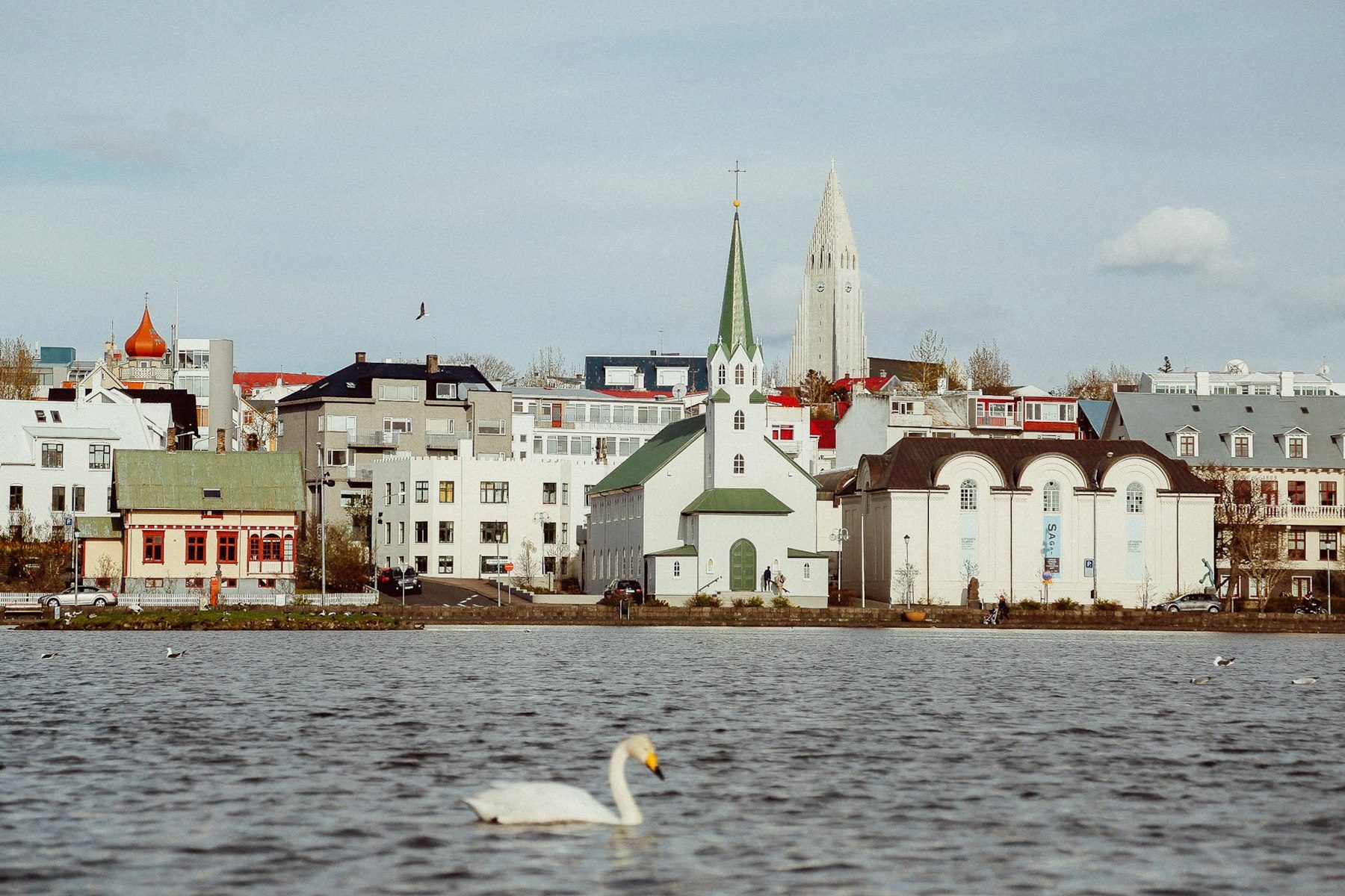 雷克雅維克 Tjörnin 湖與市區